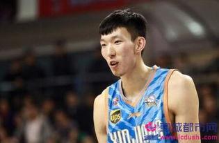 周琦的个人资料