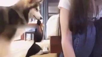 美女主播胸罩拍卖,一场视觉与慈善的盛宴