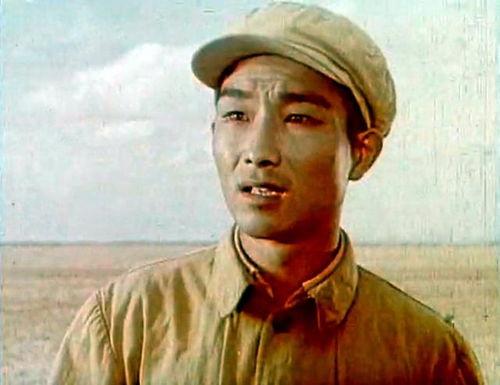 秦怡简介照片,光影岁月中的优雅传奇