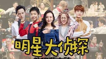 明星大侦探报名,揭秘神秘阵容，探寻悬疑真相